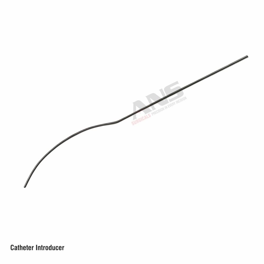 ANS Catheter Introducer