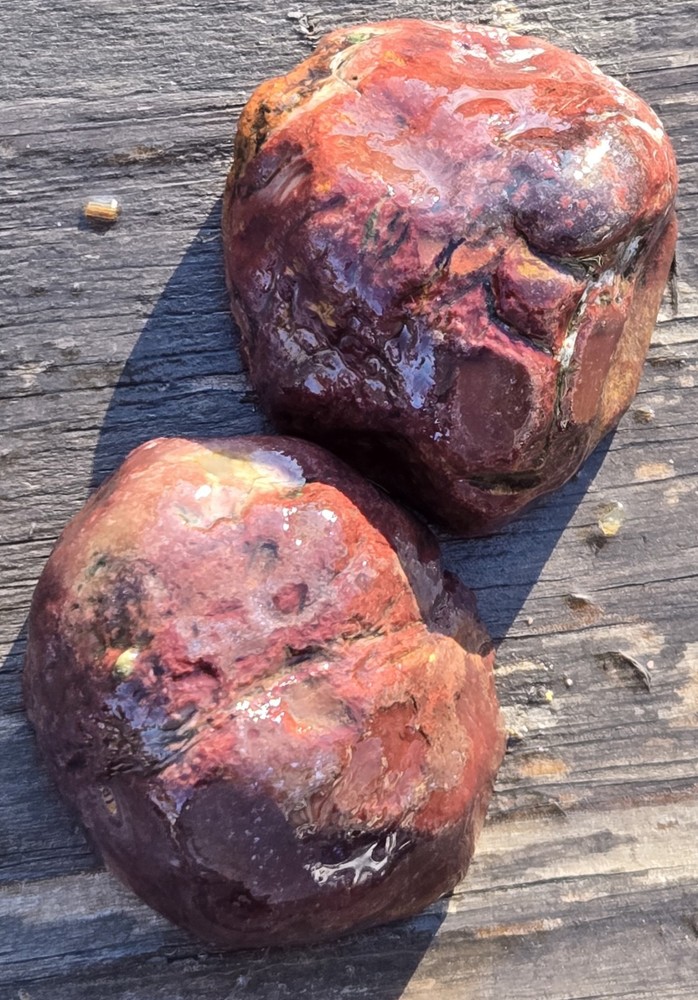 Royal Imperial Jasper Nodule Cut In Half Beautiful Egg Circle Pattern Rough