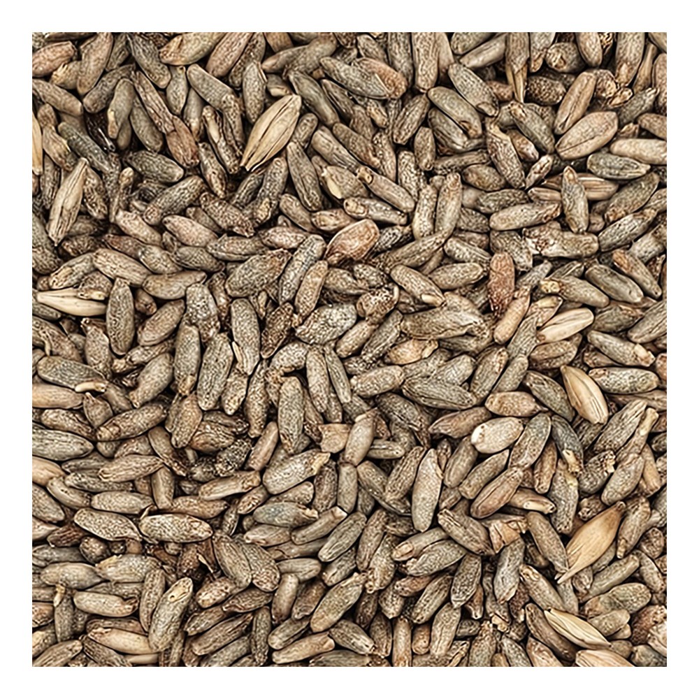 Home Brew Ohio Gambrinus Rye Grain 55lb