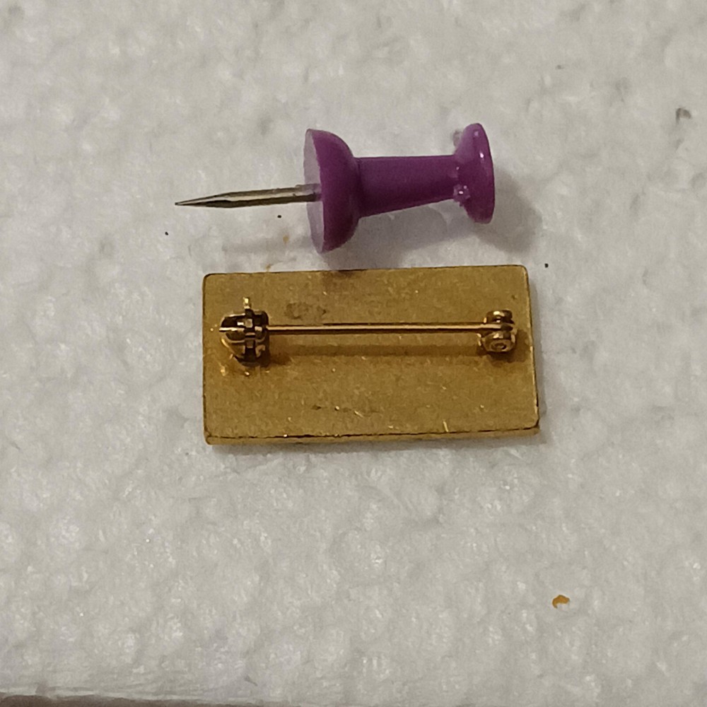 Dow Jones Software Promo Pin