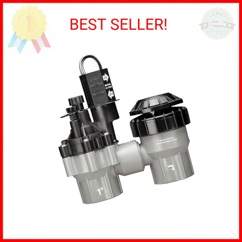 Rain Bird DASASVF100 Professional Grade Anti-Siphon Valve with Flow Control, 1"