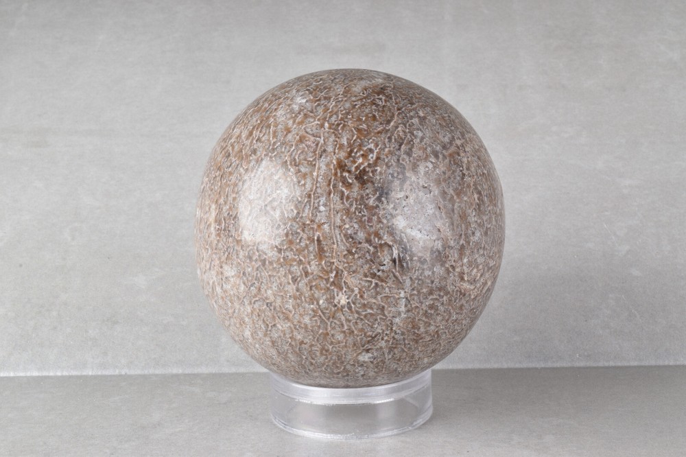 Large Dinosaur Bone Sphere from Morocco 7.7 cm # 21479