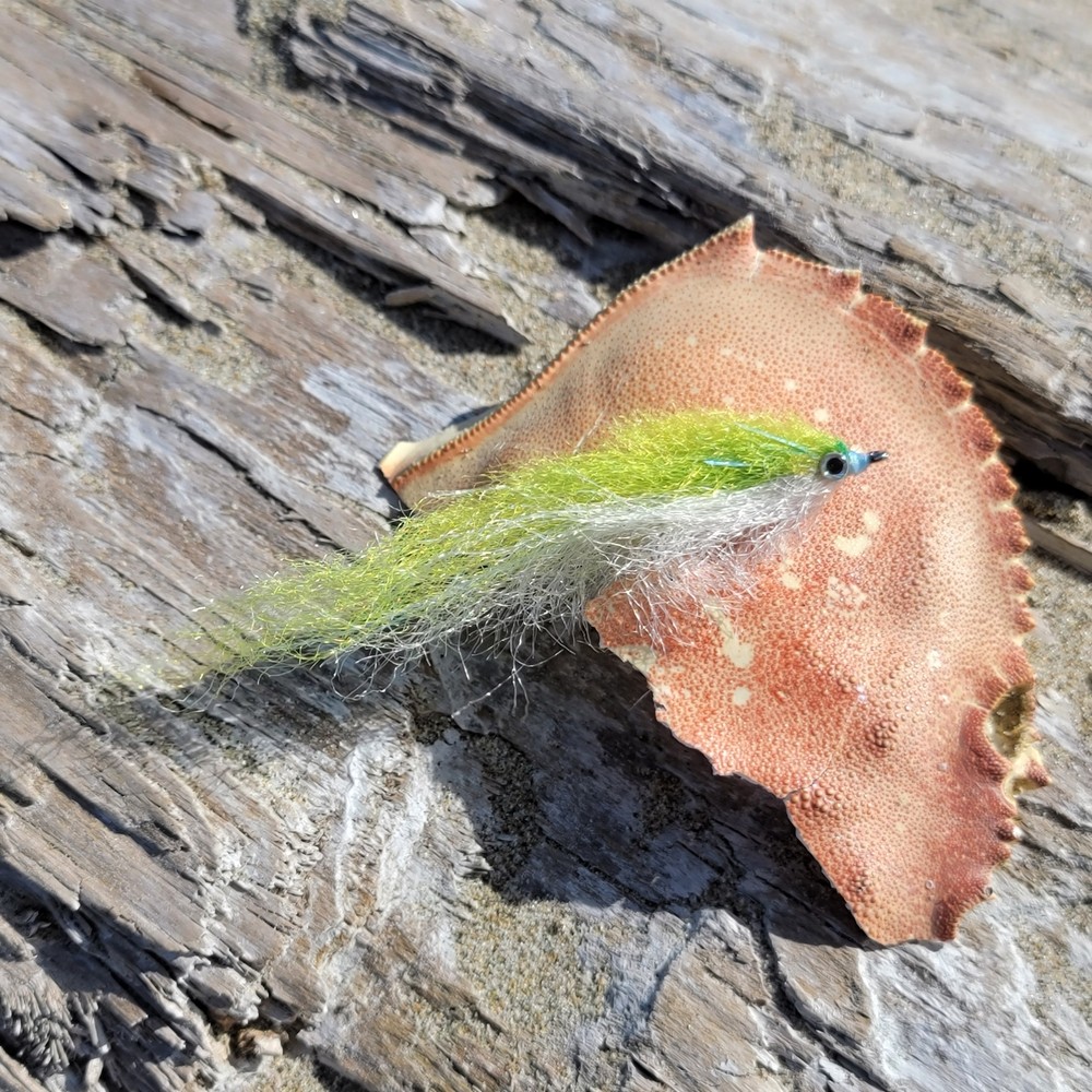 Salty Baitfish Chartreuse | Size 4