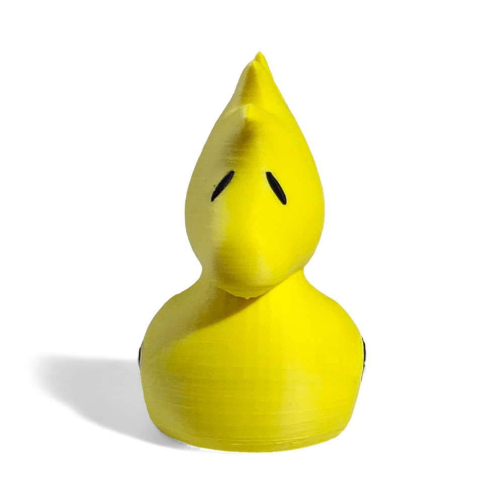 Woodstock Duck