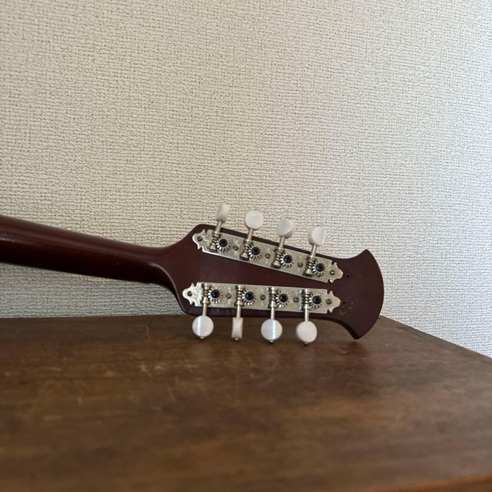 Set of 2 mandolins with decorative design