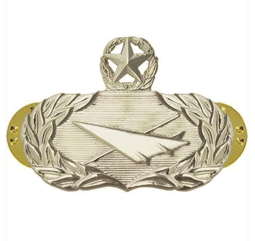 Vanguard AIR FORCE BADGE: HISTORIAN: MASTER - MIDSIZE