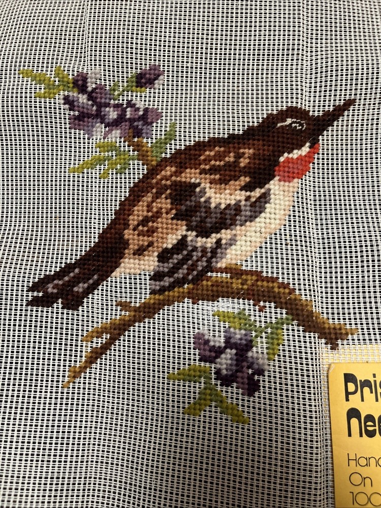 Finished Cross Stitch Bird Complete Vintage 14” By 14”