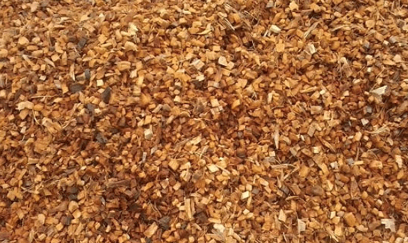 Coconut husk chips