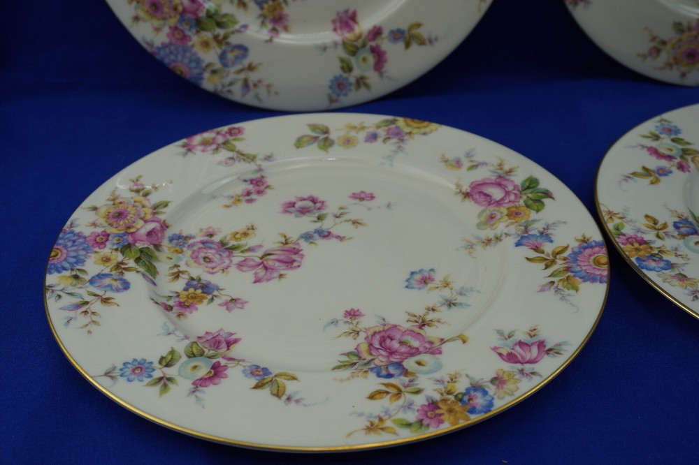 Castleton Sunnybrooke (4) Dinner Plates, 10 3/4" (B54)