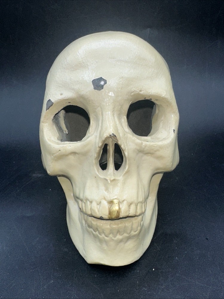 Painted cast Metal Skull
