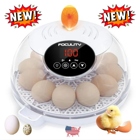 Egg Incubator for Hatching Chicks, Holds 12 Eggs, Automatic Egg Turner with Temp