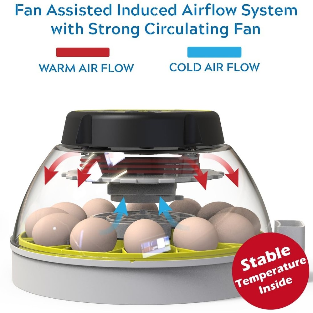 12 Egg Incubator with Humidity Display & Egg Candler