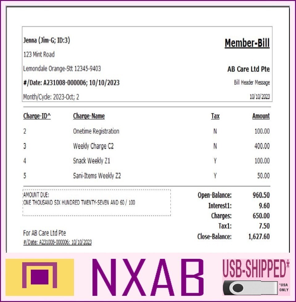 Regular Billing Ledger Software - Care Pet Account Pos NXAB