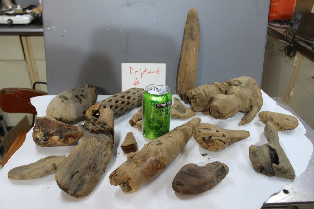 Pacific Ocean Driftwood Assortment various, crafts, hobby,