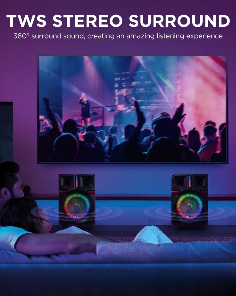 Karaoke Machine with 2 Wireless Microphones & Bluetooth Speaker