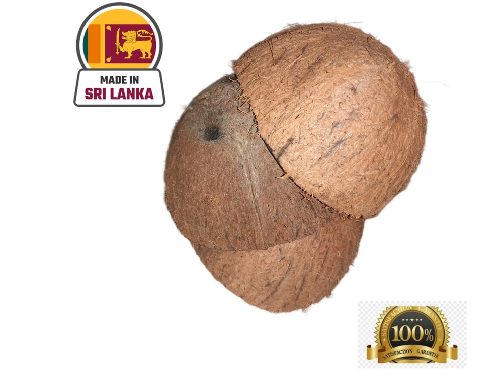 Coconut Shell Halves