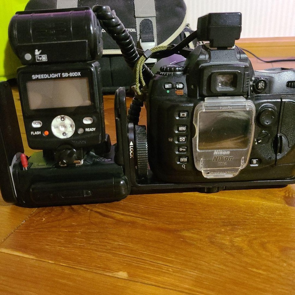 Nikon D100 Camera C025
