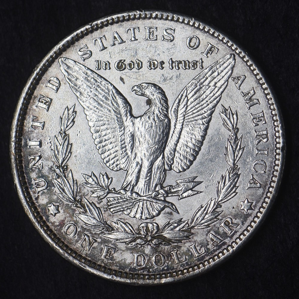 1900-P "High Grade" Morgan Silver Dollar $1 - COINGIANTS -