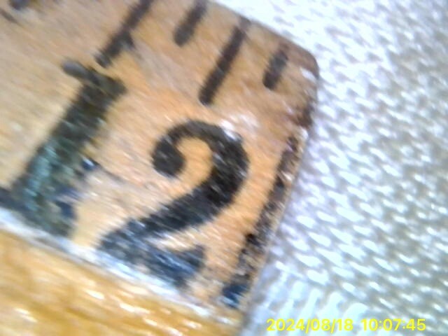 Teslong Otoscope Camera Tested Works