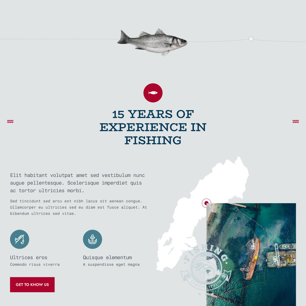 Fisher Website Design with Free VPS Web Hosting & Installation
