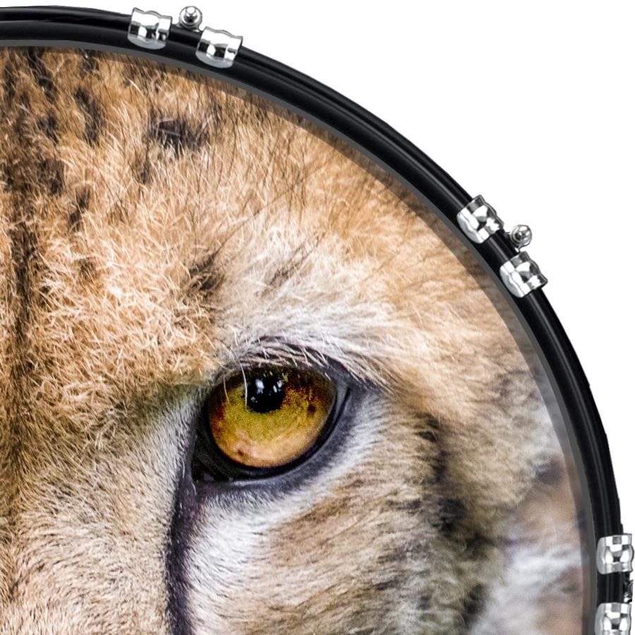 20" Custom Bass Kick Drum Front Head Graphic Graphical Cat Glare