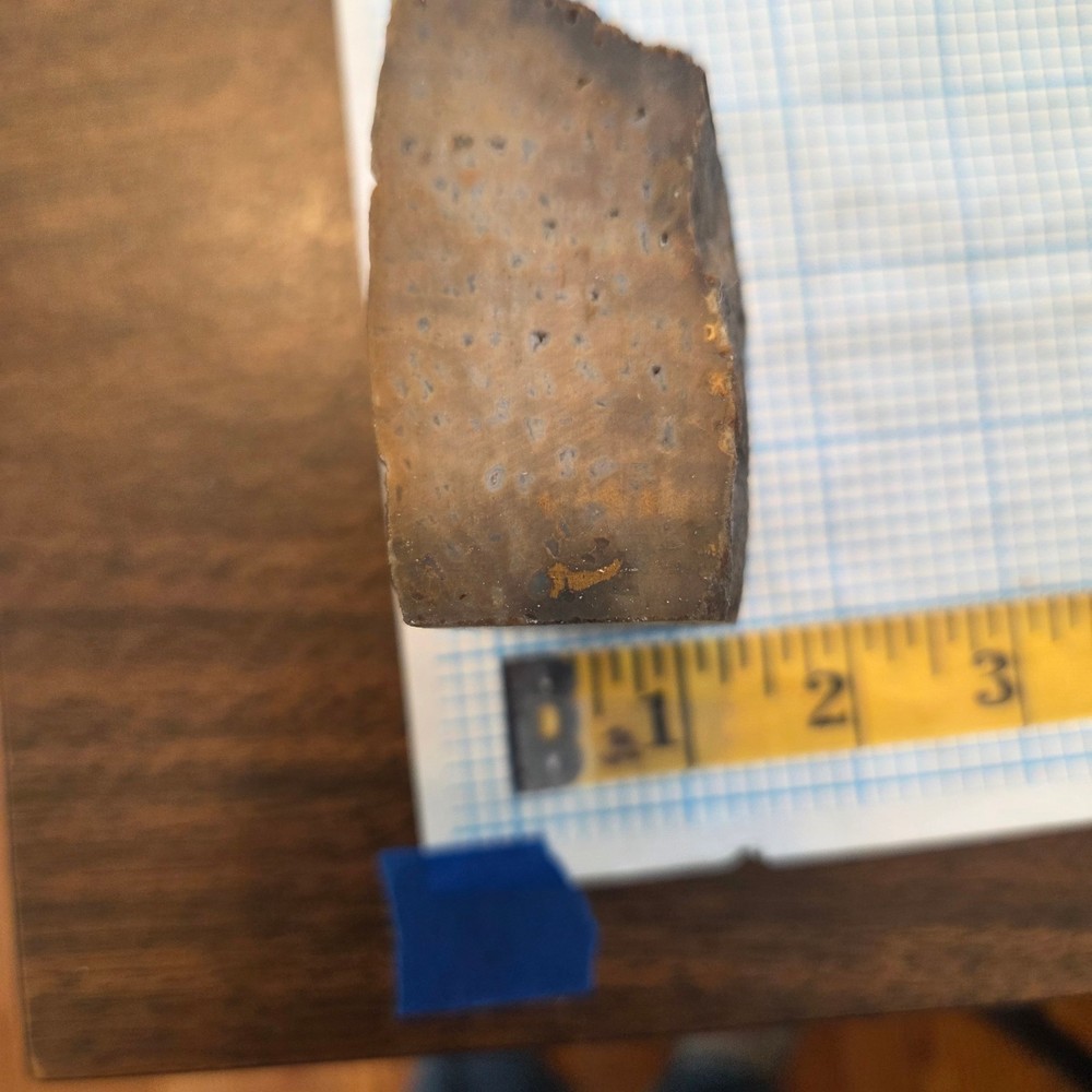 Palm Rough
