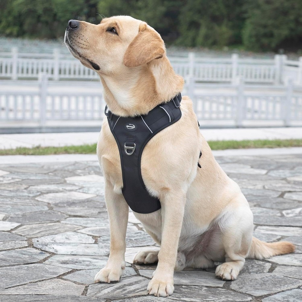 Harness No Pull Adjust.Reflective Easy Control Handle for Walk (Large)