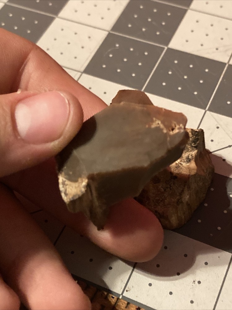 Ancient Petrified Wood Chunks