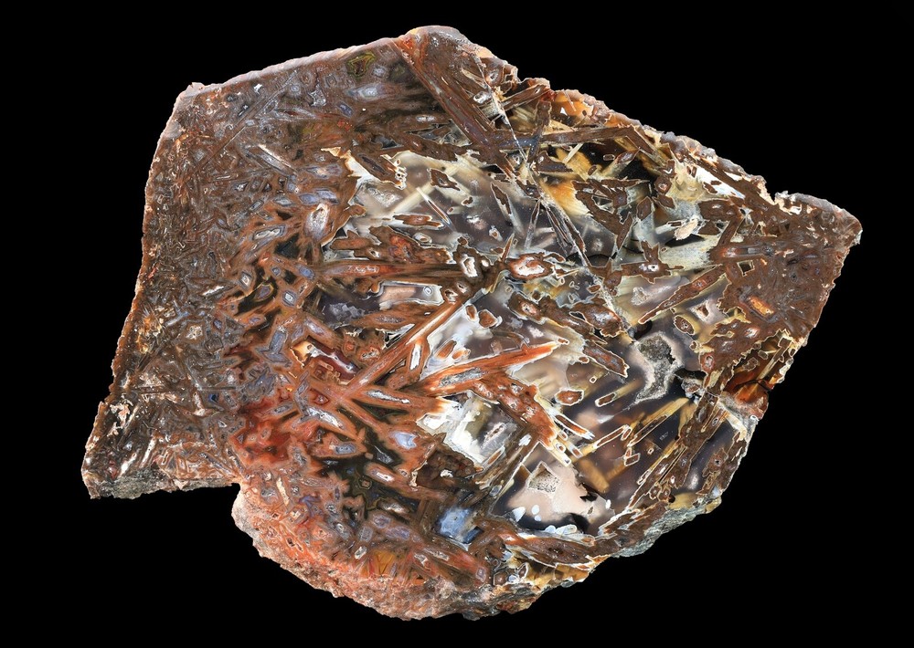 Colorful Stick Agate Specimen From Turkey Polished