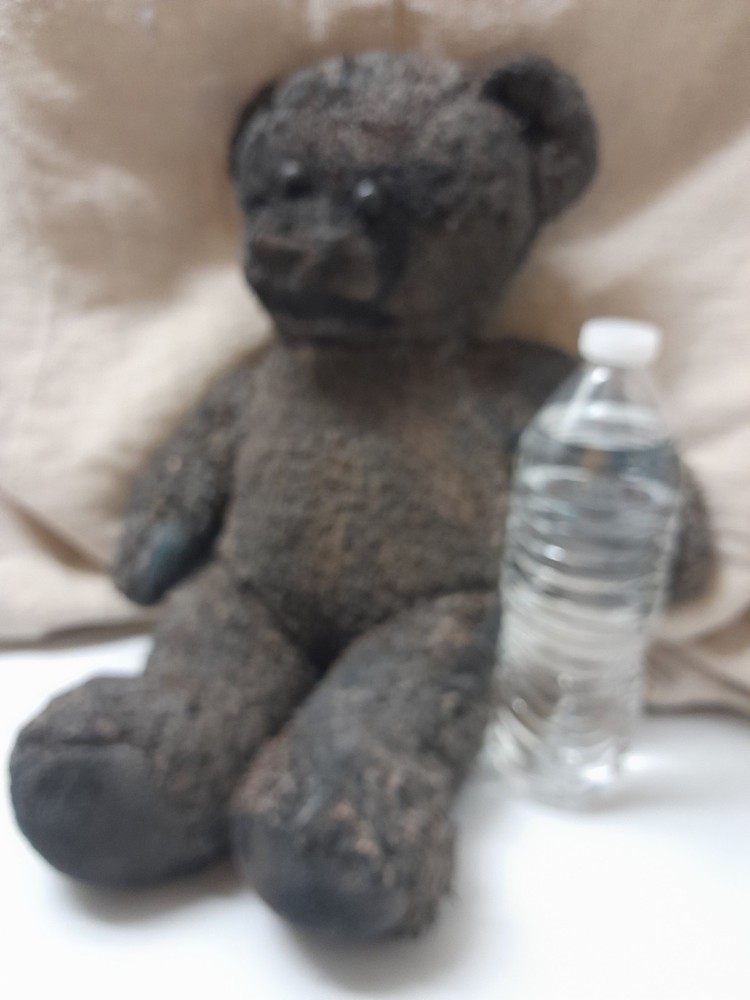Brown Bear / Haunted Doll / READ DESCRIPTION