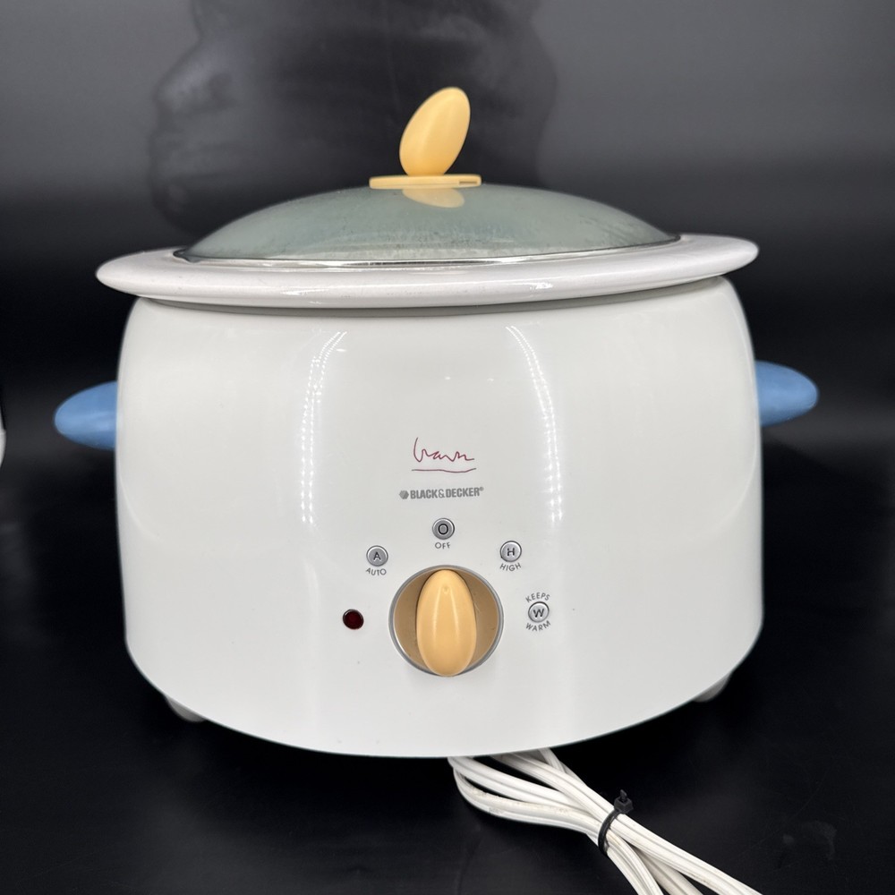 Michael Graves Design  4 Quart Slow Cooker Black & Decker MGD400 Works Great!