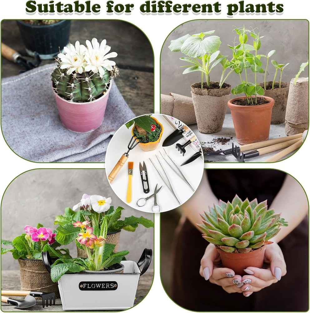 9PCS Basic Bonsai Tools Set, Bonsai Tree Kit Mini Garden Tools Includes Pruning