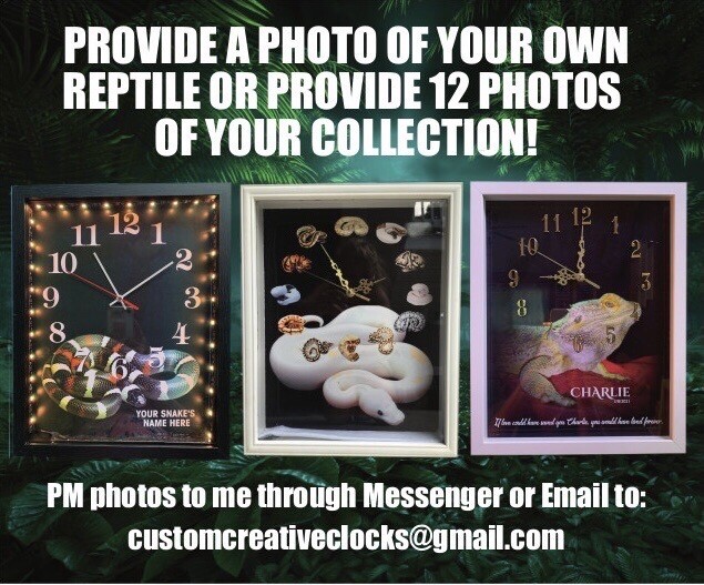 Bearded Dragon Clocks