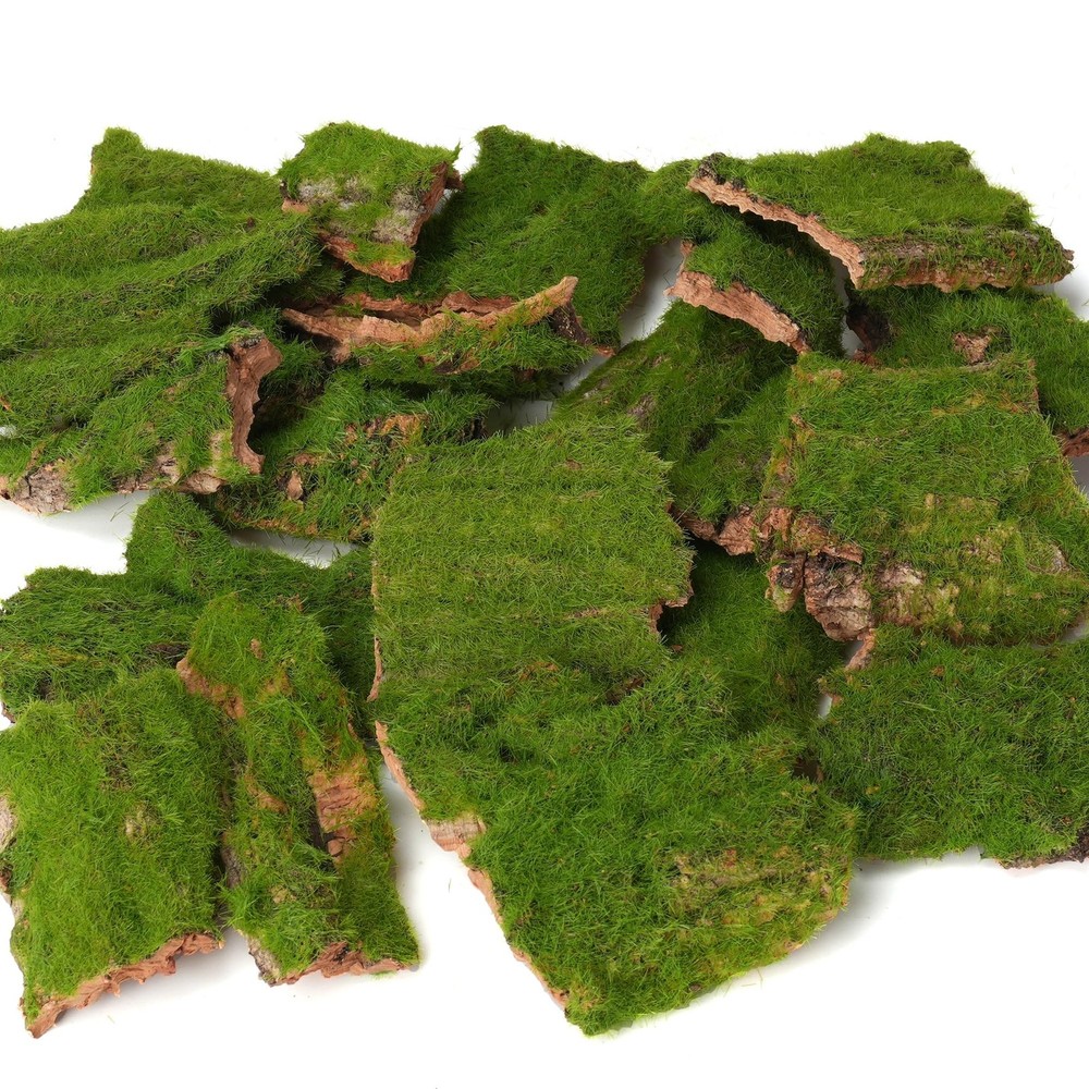 BYHER Assorted Artificial Moss Bark, Decorative Mossy Realistic Green - 100gr