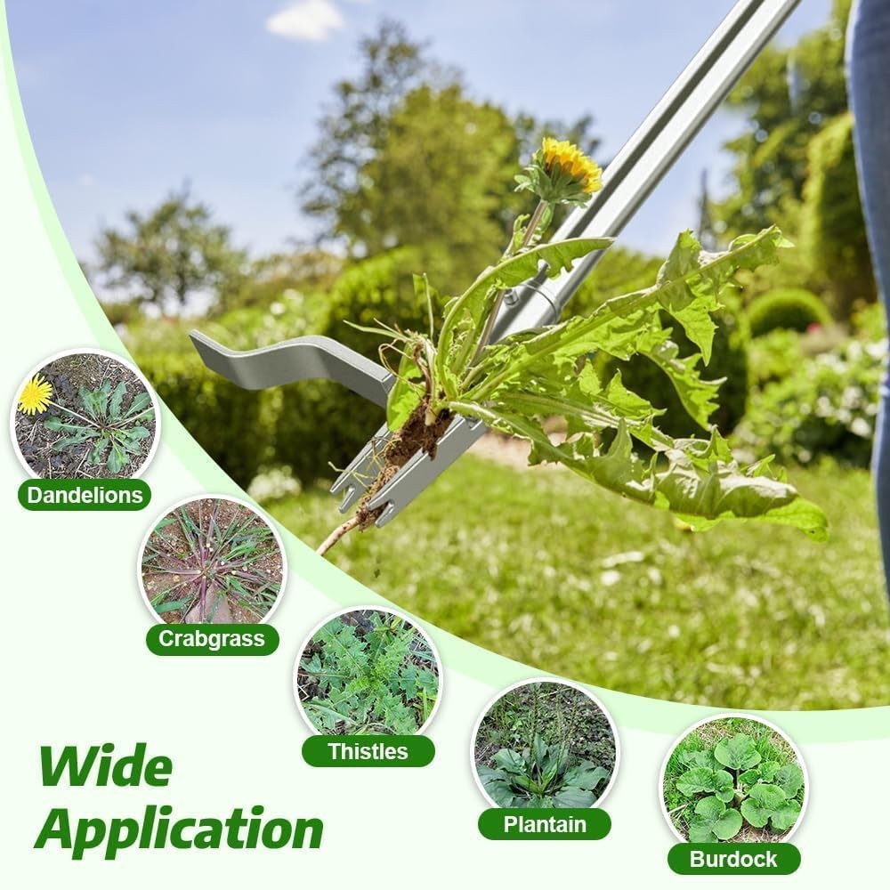 Stainless Steel Stand Up Weed Puller Tool with Long Handle, Thickened 304 Sta...