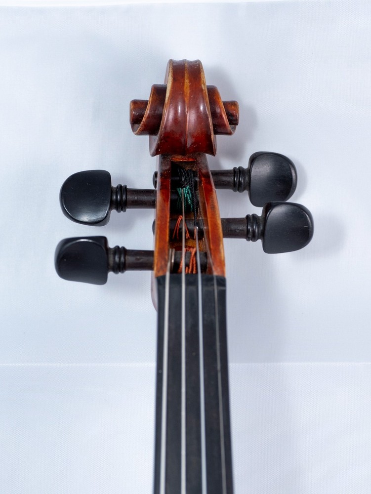 Snow Violin SV 200 1/2