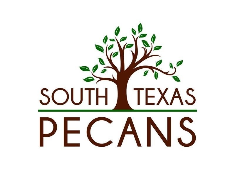 In Shell Pecans from Texas 2024 Crop 5 Pounds
