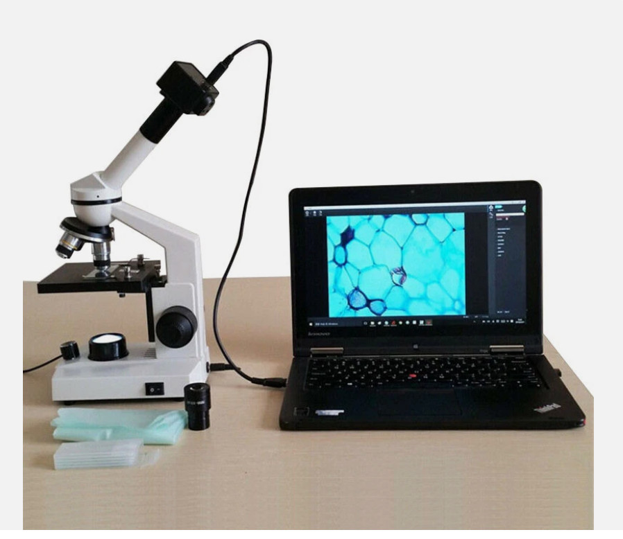 5.0 MP HD Digital Electronic Eyepiece Camera USB Microscope with C Mount Adapter