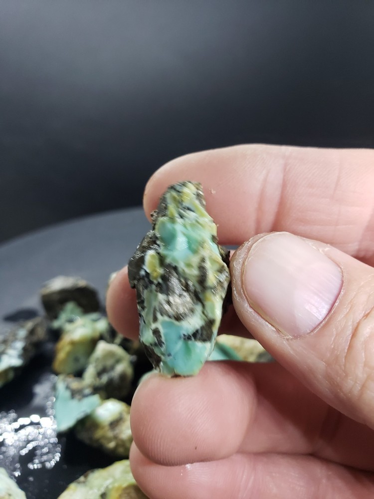 Nevada Gecko Variscite Rough 1/4 Lb