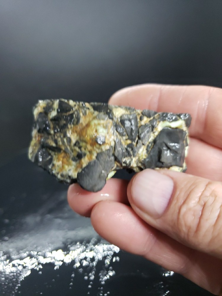 Nevada Gecko Variscite Rough