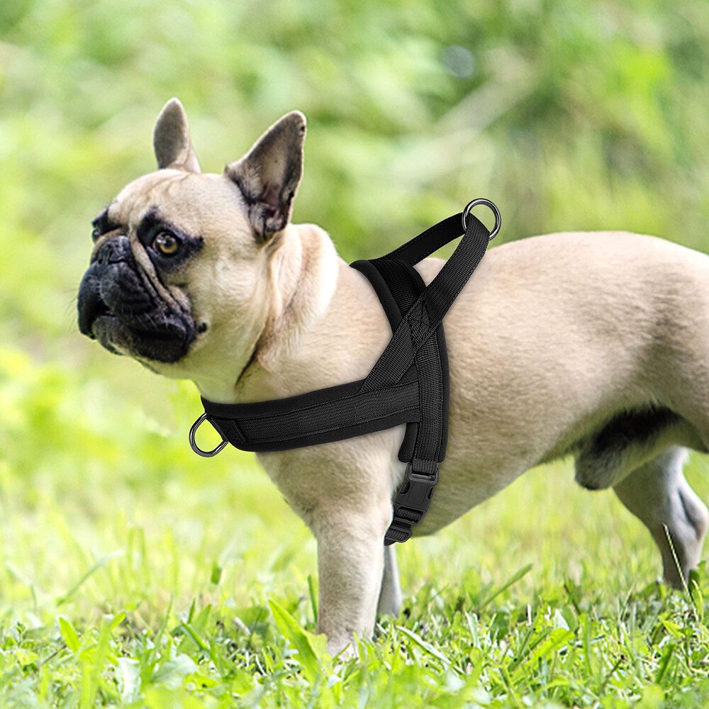 Adjustable Soft Padded Dog Harness No-Pull Pet Vest for Small to Medium Dogs