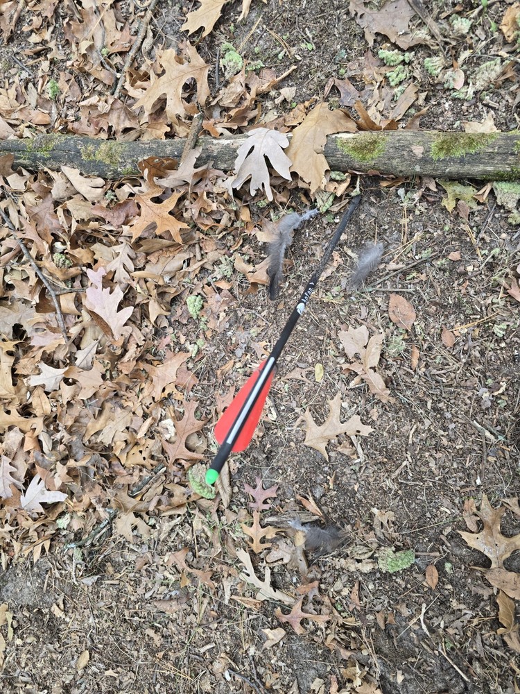 Used crossbow 60 arrows