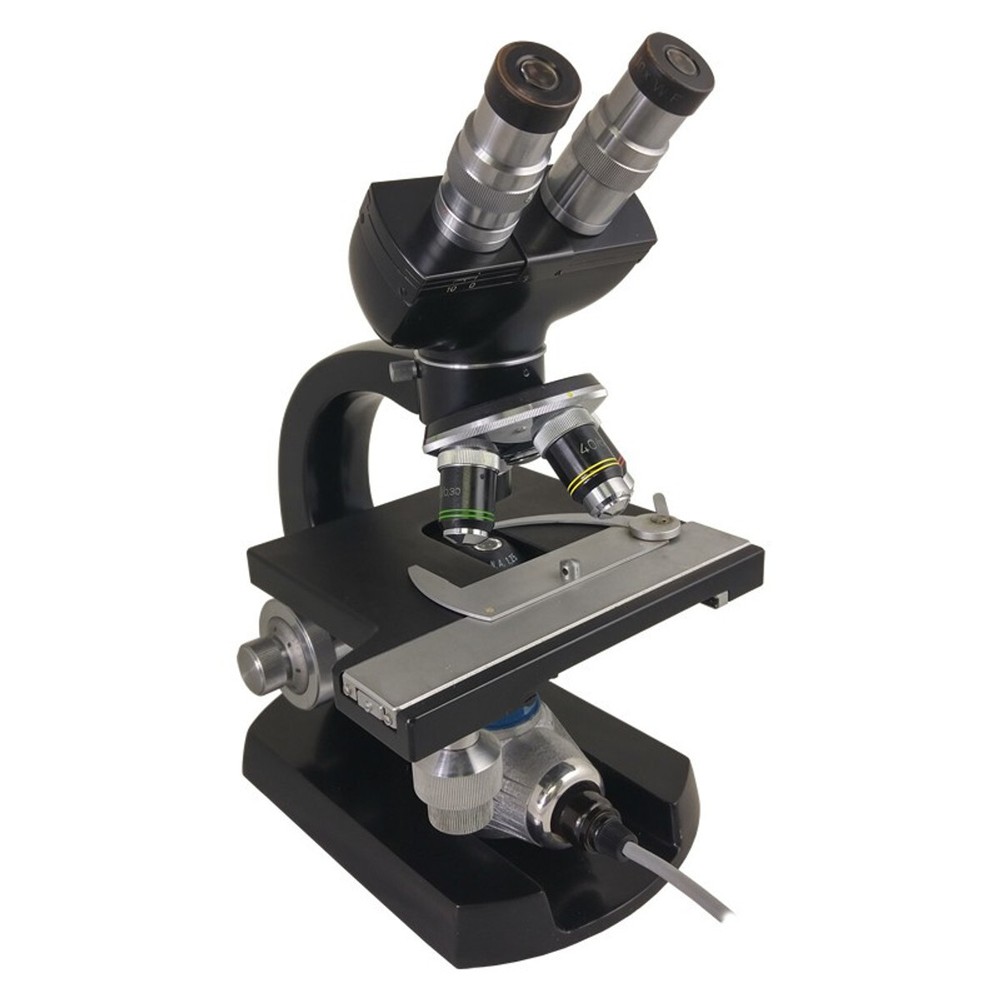 Vintage Steindorff Binocular Microscope with Wooden Case