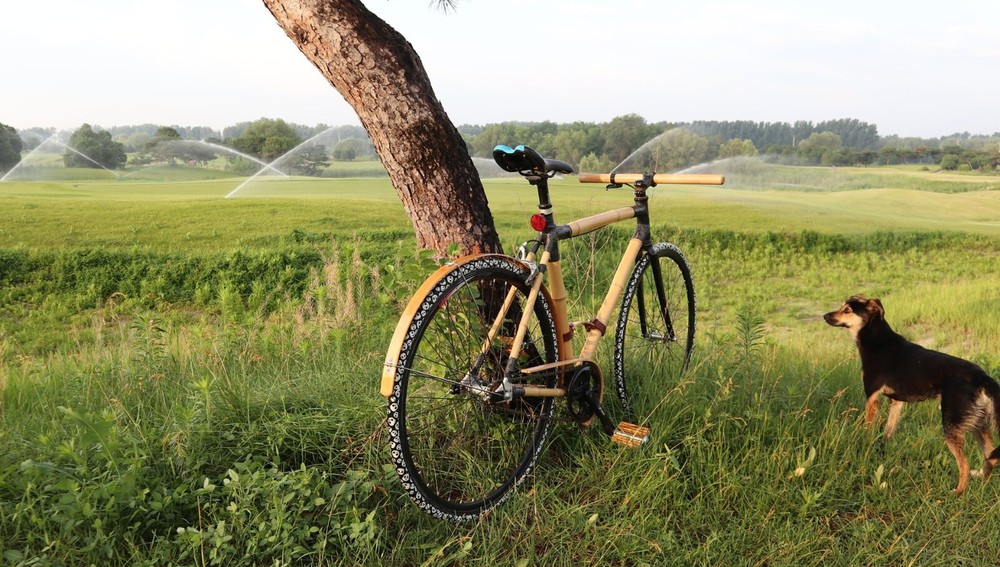 Custom Bamboo Bicycle Full Coverage Fenders