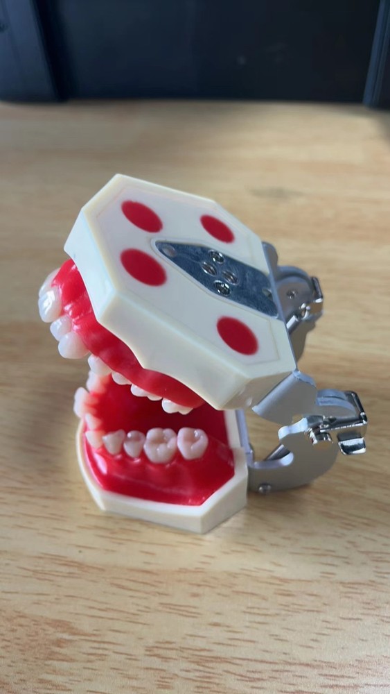 New Reusable Dental Practical Training Model/typodont/orthodontics Wax Model
