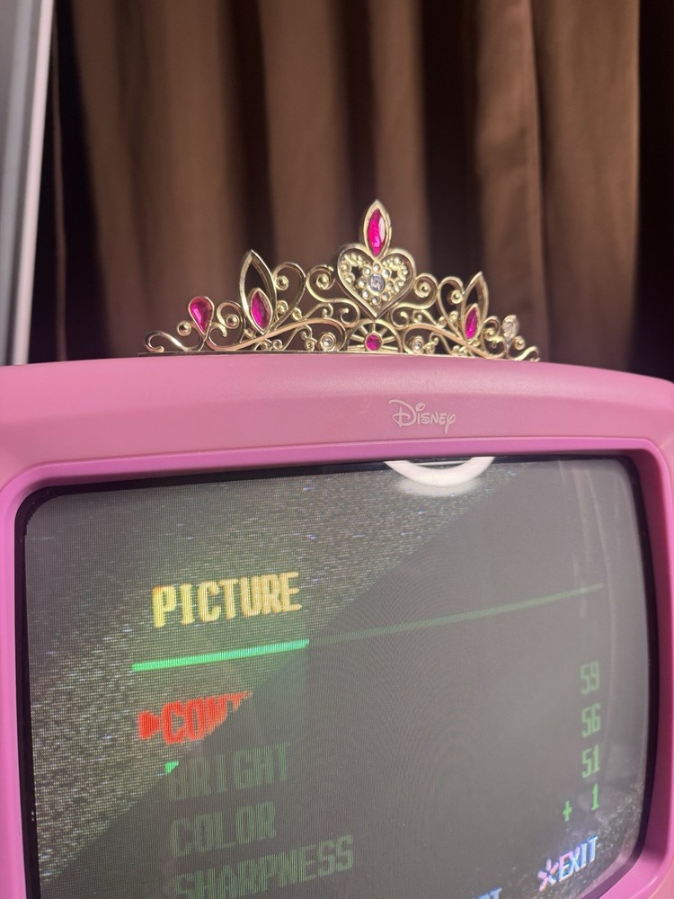 Disney Princess TV