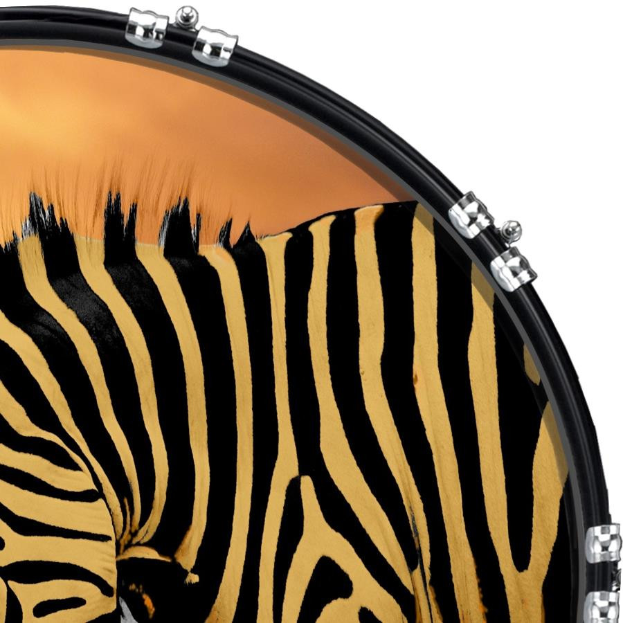 20" Custom Bass Kick Drum Front Head Graphic Graphical Zebra 4