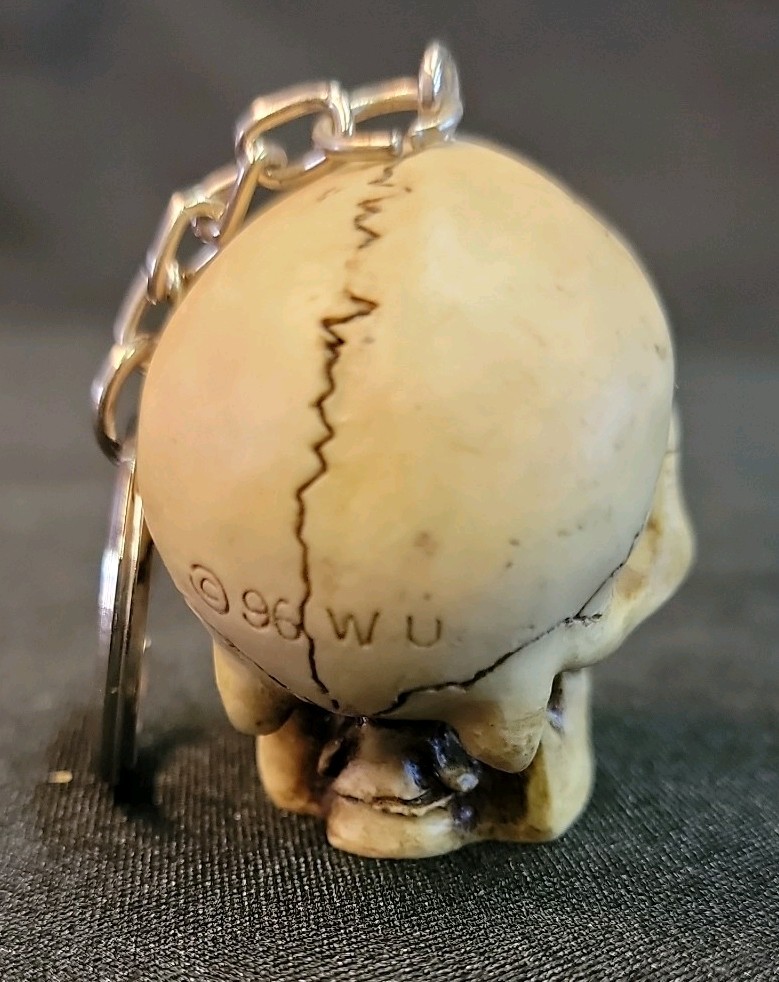 10 Piece Skull Lot