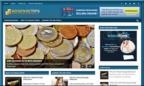 Ready Made Adsense Blog