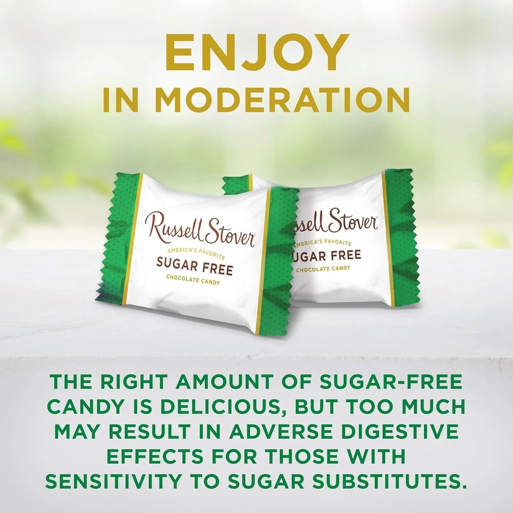 RUSSELL STOVER Sugar Free Assorted Chocolate Candy with Nuts, 15.5 oz. Big